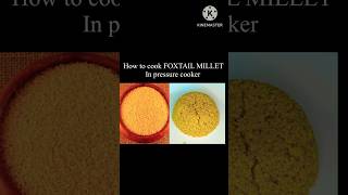 How To Cook FoxTail Millet In Pressure CookerFoxTail Millet Recipe For Weight loss shorts millet [upl. by Ocirema]