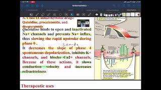 Antiarrhythmics drug [upl. by Ellekcim]