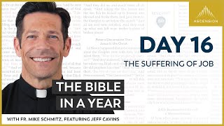 Day 16 The Suffering of Job — The Bible in a Year with Fr Mike Schmitz [upl. by Akinohs40]