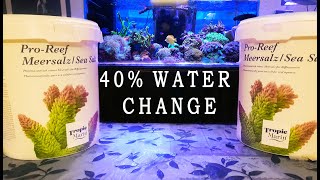 40  Water Change with Tropic Marin Salt [upl. by Ara600]