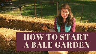 How to Begin quotHay Balequot Gardening or How to Start a Straw Bale Garden [upl. by Merkle]