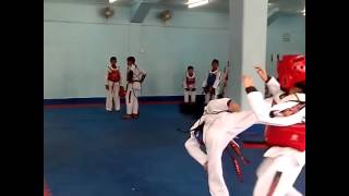 Philippines Taekwondo Contingent sparring session [upl. by Neiv]