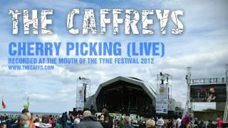 The Caffreys  Cherry Picking LIVE at Mouth of the Tyne 2012 [upl. by Brest]