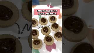 🍪Las mejores galletas de Guadalajara 🍪 [upl. by Eseuqcaj]