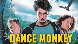 Harry Potter  Dance Monkey by Tones and I  MUSIC VIDEO [upl. by Trude]