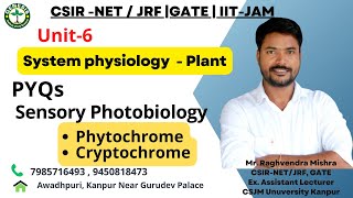 MCQs  Structure amp Function of Phytochromes amp Cryptochromes  Sensory photobiology  L12 [upl. by Haraf]