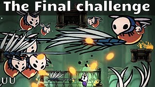 The FINAL challenge in the Hollow Knight Enemy Randomizer [upl. by Quiteria]