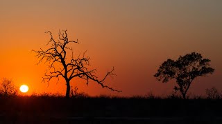 Trockenzeit im Krüger Nationalpark  Dry Season in the Kruger National Park [upl. by Finah]