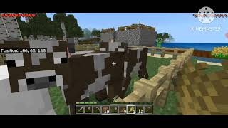 Making a animal in Minecraft HD Gamer [upl. by Aniarrol]