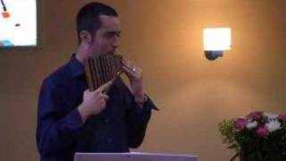 Adios Nonino played by Mihai Puscoiu Pan flute [upl. by Ydnyl]