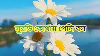 ওরে নিশি গন্ধ্যা Ore Nishi Gondha  Bangla Lyrics [upl. by Joao]