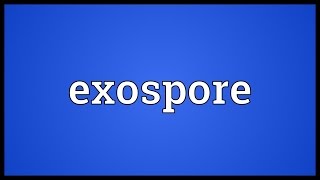 Exospore Meaning [upl. by Ahsias]