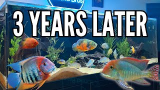 The Growth amp Evolution of the 180 Gallon South American Cichlid Tank [upl. by Midas]