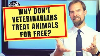 WHY DONT VETERINARIANS TREAT ANIMALS FOR FREE [upl. by Airotnes]