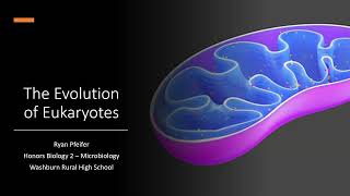 The Evolution of Eukaryotes [upl. by Lenrad730]