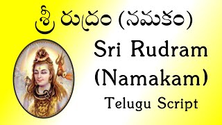 శ్రీ రుద్రం నమకం  Sri Rudram Namakam  Telugu Script  Yajur Veda  Sri K Suresh [upl. by Inanuah]