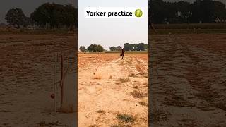 Yorker drill with tennis ball 🥎yorker bowling practice viralvideo cricketshorts shorts [upl. by Yerkovich847]