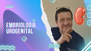 Embriología Urogenital [upl. by Ocsisnarf]