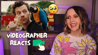 HARRY STYLES  DAYLIGHT MUSIC VIDEO  VIDEOGRAPHER REACTS [upl. by Myrtia]