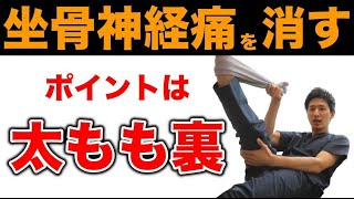 【坐骨神経痛の治し方ためしてガッテン】坐骨神経痛を解消する30秒ストレッチ【大阪府東大阪市 整体院望夢〜のぞむ〜】 [upl. by Craggy]