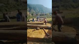 WOOD CUTTING PROCESS [upl. by Norven938]