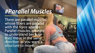 PARALLEL VS PENNATE MUSCLES Ursulla Fernandes Brazilian Awesome Workout [upl. by Elrebmik801]