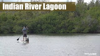 Paddleboard Fishing the Florida Indian River [upl. by Nanaj441]