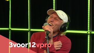 Goldband  Live at 3voor12 Radio [upl. by Artemla]