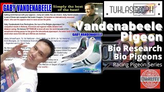 History of Gaby Vandenabeele Pigeon  Racing Pigeon Series ft BioResearch BioPigeons  TUKLASibonPH [upl. by Herstein100]