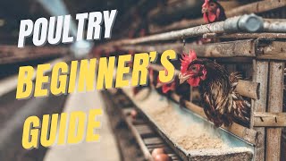 Poultry farming full guide for beginners  The FarmGuide Sn1 E2 [upl. by Katzen]