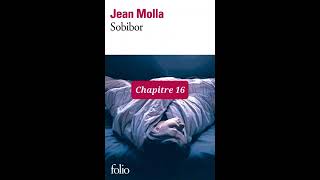 16  Sobibor  livre audio  Chapitre 16  Jean Molla  lecture et résumé [upl. by Ennagroeg]