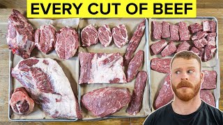 Beef 101 The Beginners Guide to Every Cut of Beef [upl. by Aihsaei]