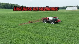 Foliar Feeding Soybeans [upl. by Llemar]