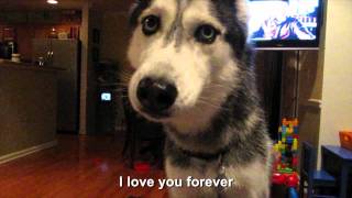 Mishka says quotI love you foreverquot  SUBTITLED [upl. by Haily]