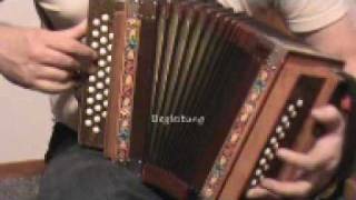 Swiss accordion trio Schwyzerörgeli trio [upl. by Immat514]