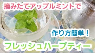 【🌿ハーブティーの作り方🌿】リラックス効果だけじゃない……たくさんの効能を紹介🌿 [upl. by Eeb]