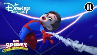 Spidey  Maak kennis met Spidey 🕸️  Disney Channel NL [upl. by Newmark]