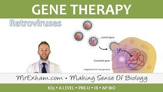 Gene therapy  Post 16 Biology A Level PreU IB [upl. by Danialah469]