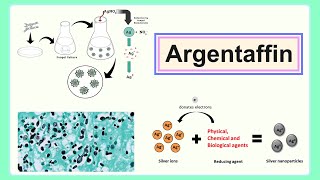 argentaffin [upl. by Uel]