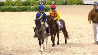 Shetland Pony Race [upl. by Korey]