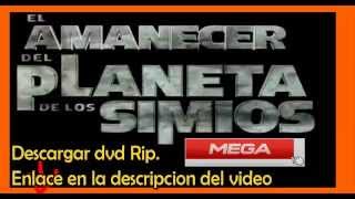 descargar el amanecer del planeta de los simios [upl. by Maiga]