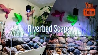 Hillstream Riverbed Aquarium [upl. by Nepean]