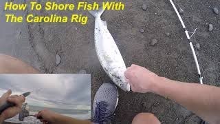 How to Shore fish with the Carolina Rig [upl. by Crispas466]