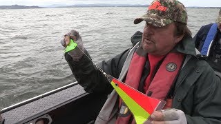 Salmon Trolling Setup Explained By Buzz Ramsey [upl. by Borchert448]