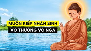 Muôn Kiếp Nhân Sinh  Vô Thường Vô Ngã Duyên Sinh [upl. by Sakram]