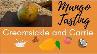 Tasting Sinclair  Creamsickle and Carrie Mangos from Florida [upl. by Holub]