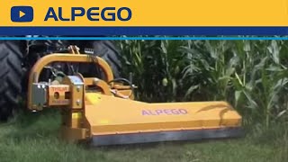 Flailmower ALPEGO Trilat TL33 [upl. by Waring]