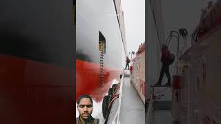 ship longboardlife automobile foilboarding cruise longboarder cruiseship longboarding boat [upl. by Euqinomod]