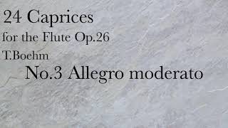 TBöhm24 Caprices For FLUTE No3 Allegro moderato [upl. by Latreece]