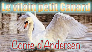 Le vilain petit Canard conte dAndersen [upl. by Mackler]